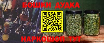 шишки Гагарин