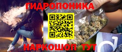 шишки Гагарин