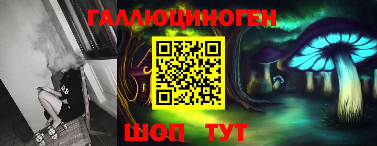 Галлюциногенные грибы Psilocybine cubensis  Вход с VPN  Москва 